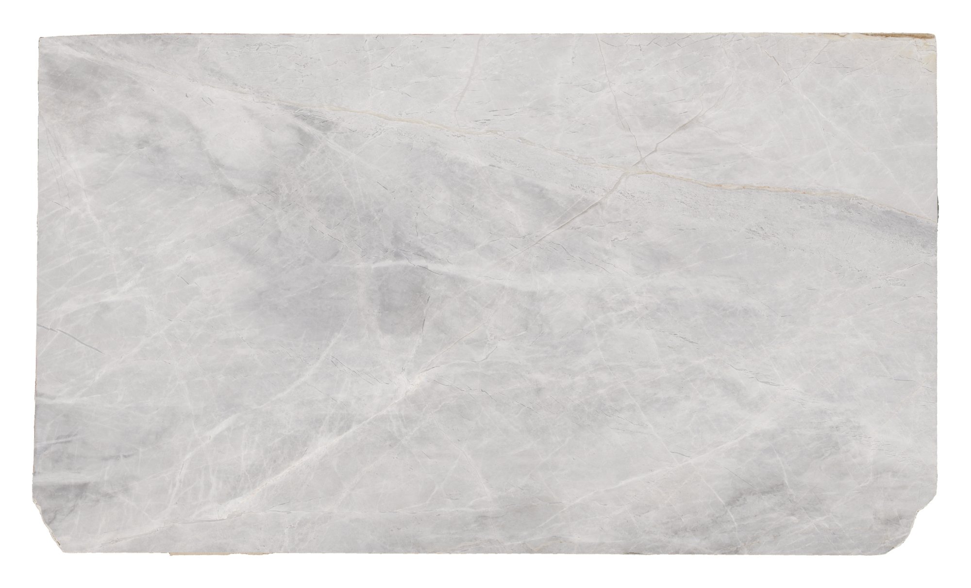 Holanta Dolomite — full slab