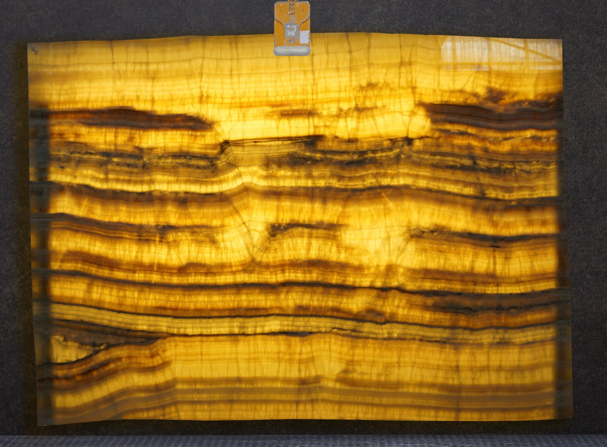 Golden Vein Onyx — full slab