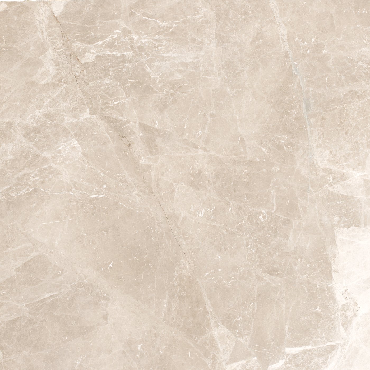 Moon Cream